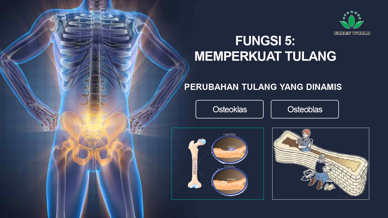 Education content image